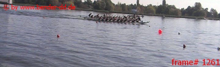 1261.jpg
