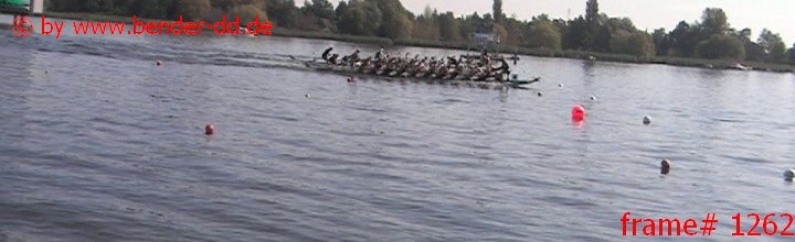 1262.jpg
