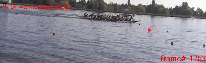 1263.jpg