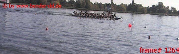 1264.jpg