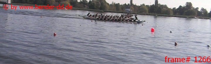 1266.jpg