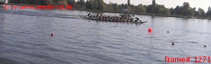 1271.jpg