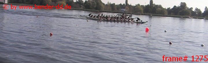 1275.jpg