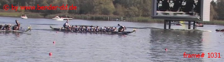 1031.jpg