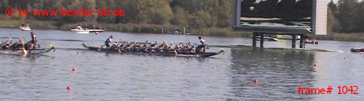 1042.jpg
