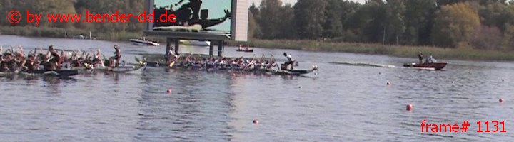1131.jpg