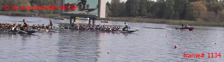 1134.jpg