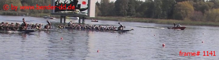 1141.jpg