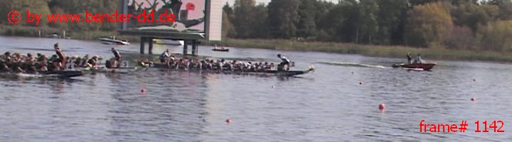 1142.jpg