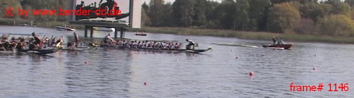 1146.jpg