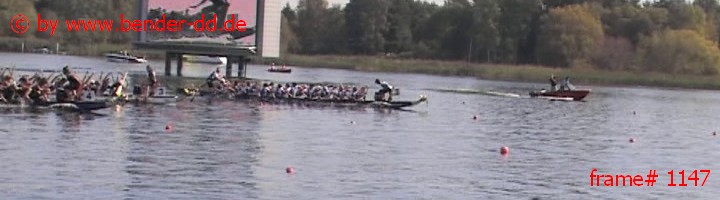 1147.jpg