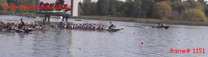1151.jpg
