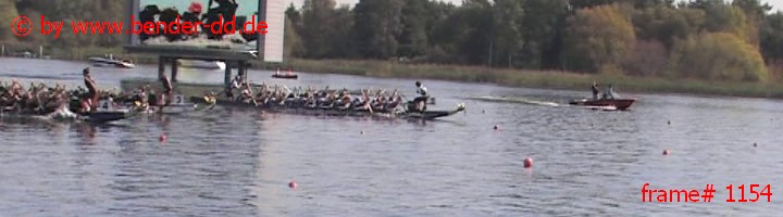 1154.jpg