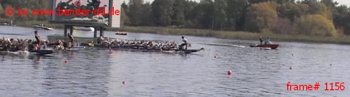 1156.jpg
