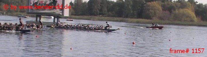 1157.jpg