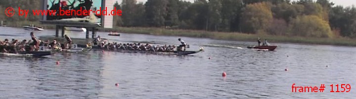1159.jpg