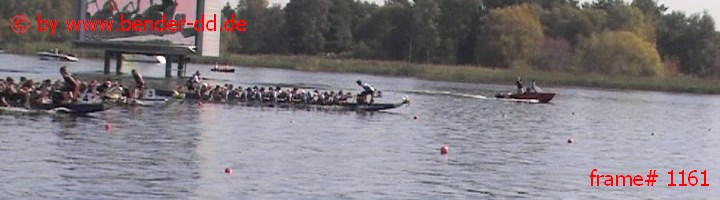 1161.jpg