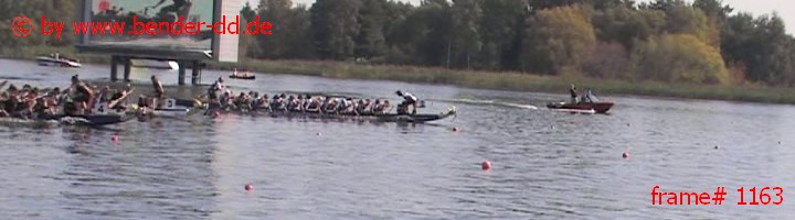 1163.jpg