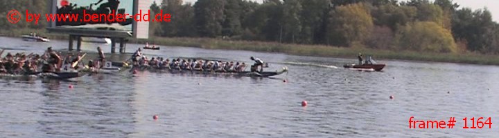 1164.jpg