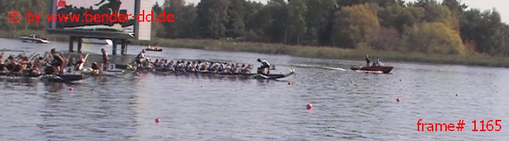1165.jpg