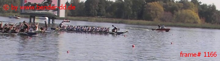 1166.jpg