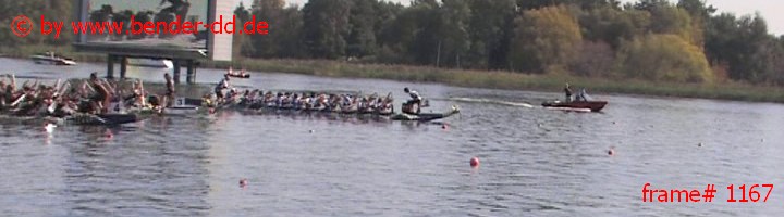 1167.jpg