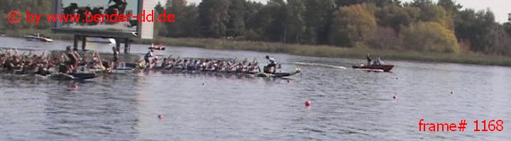 1168.jpg