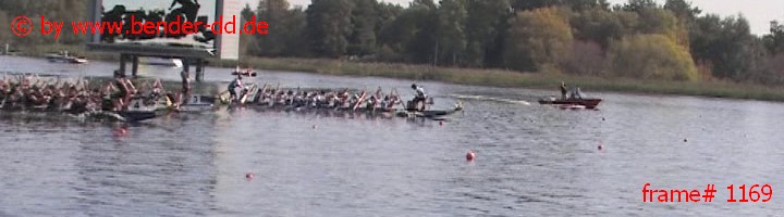 1169.jpg