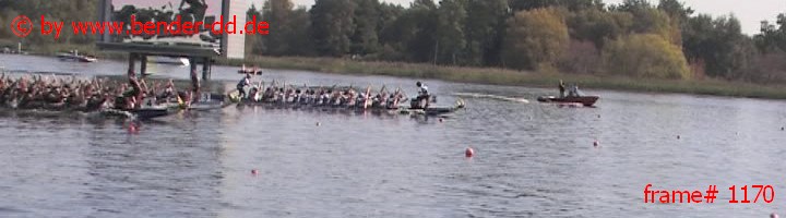 1170.jpg