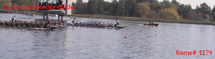 1174.jpg