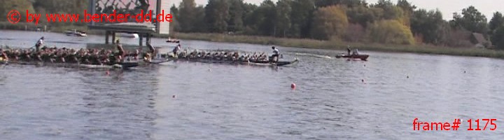 1175.jpg