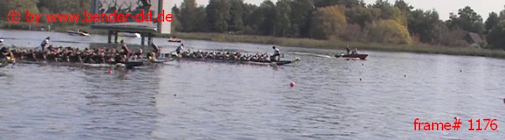 1176.jpg