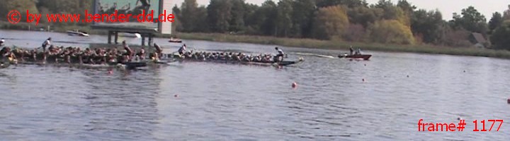 1177.jpg