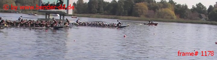 1178.jpg