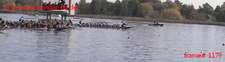 1179.jpg