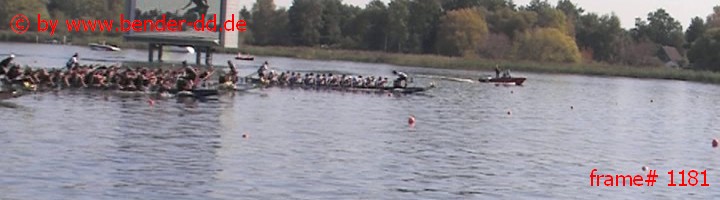 1181.jpg