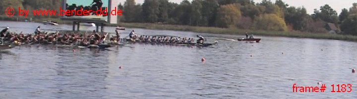 1183.jpg