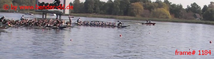 1184.jpg