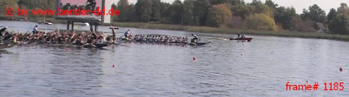 1185.jpg