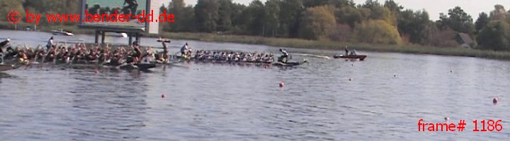 1186.jpg