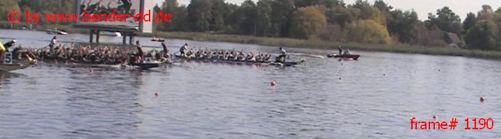 1190.jpg
