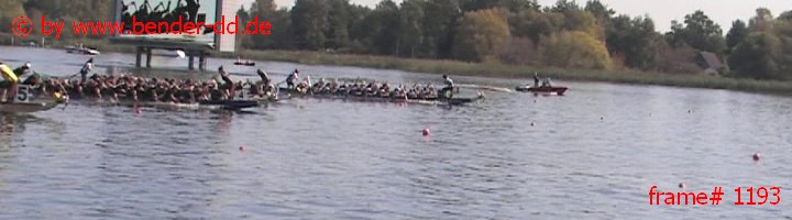 1193.jpg