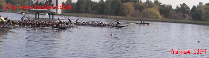 1194.jpg