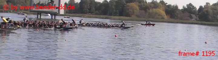 1195.jpg