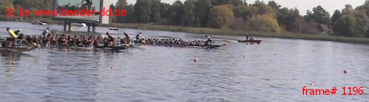1196.jpg