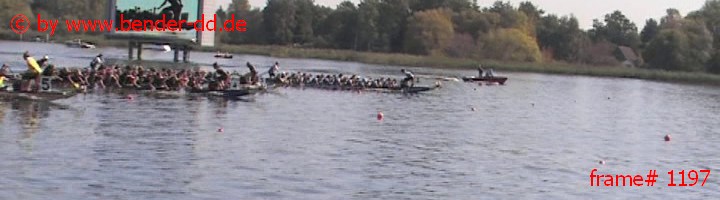 1197.jpg