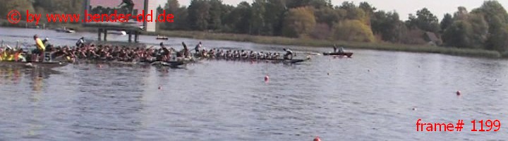 1199.jpg