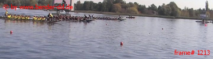 1213.jpg