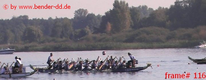 116.jpg