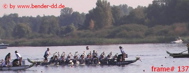 137.jpg